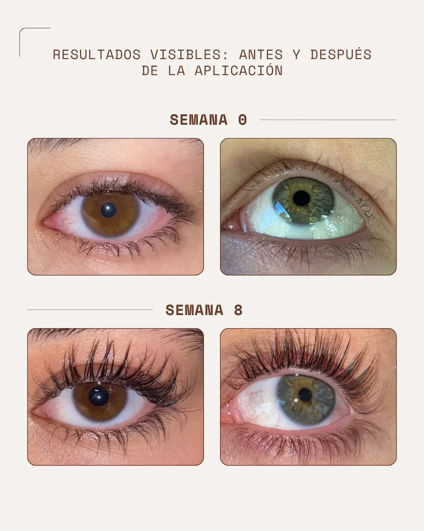 LASHgrow