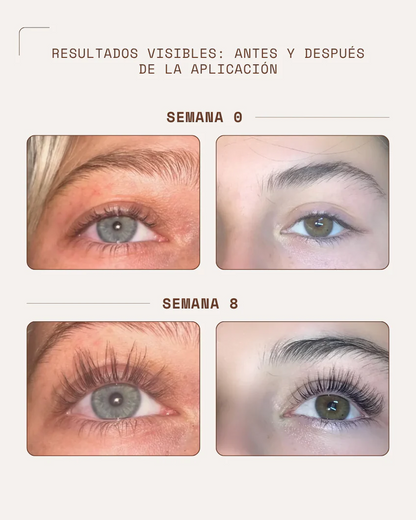 LASHgrow