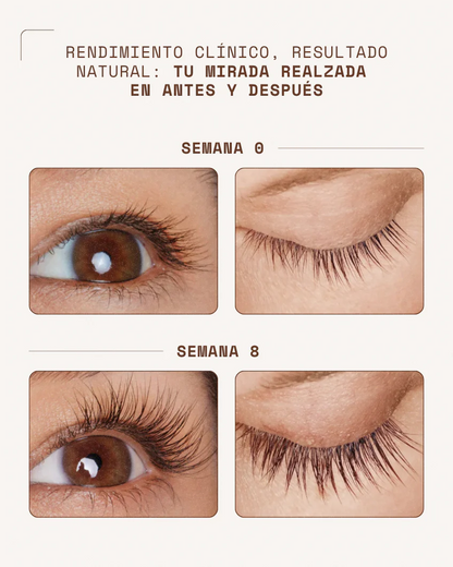 LASHgrow